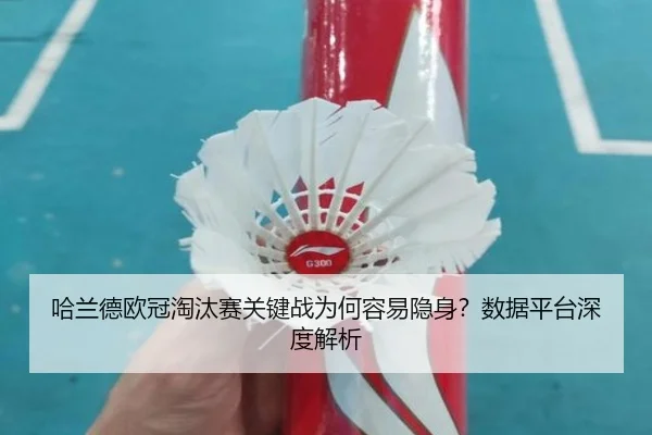ha-lan-de-ou-guan-tao-tai-sai-guan-jian-zhan-wei-he-rong-yi-yin-shen-shu-ju-ping-tai-shen-du-jie-xi-3-531.jpg